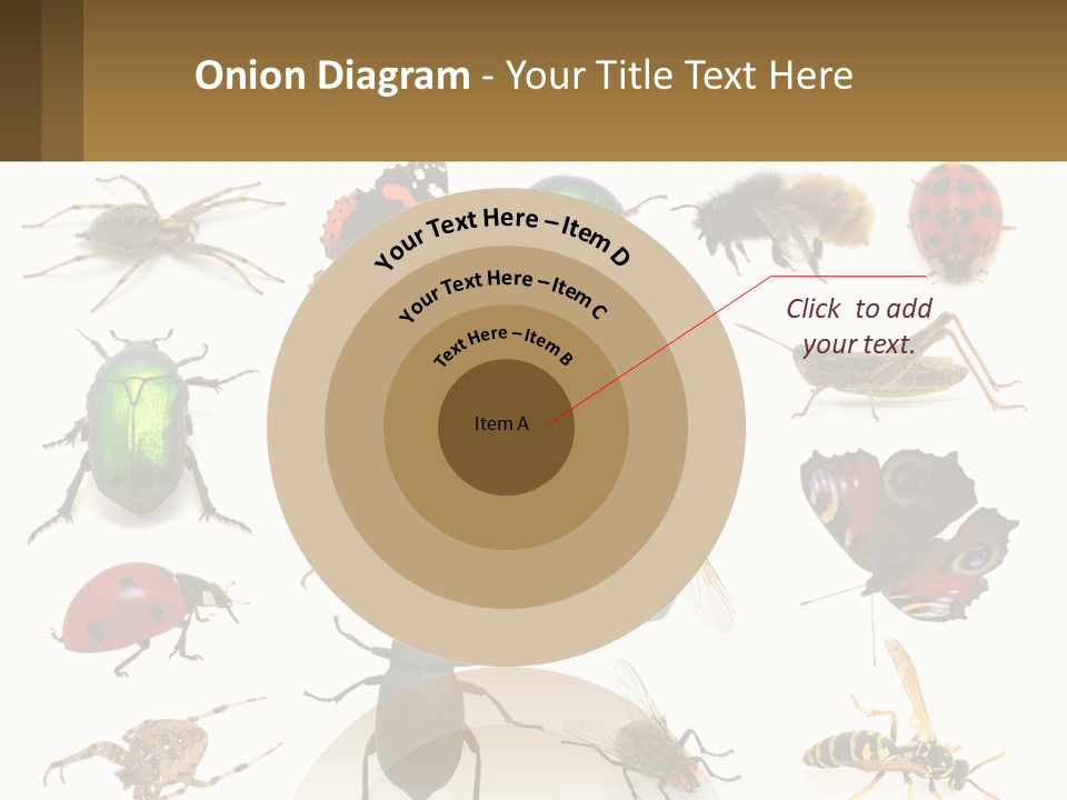 A Group Of Bugs And Bees On A White Background PowerPoint Template