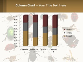 A Group Of Bugs And Bees On A White Background PowerPoint Template