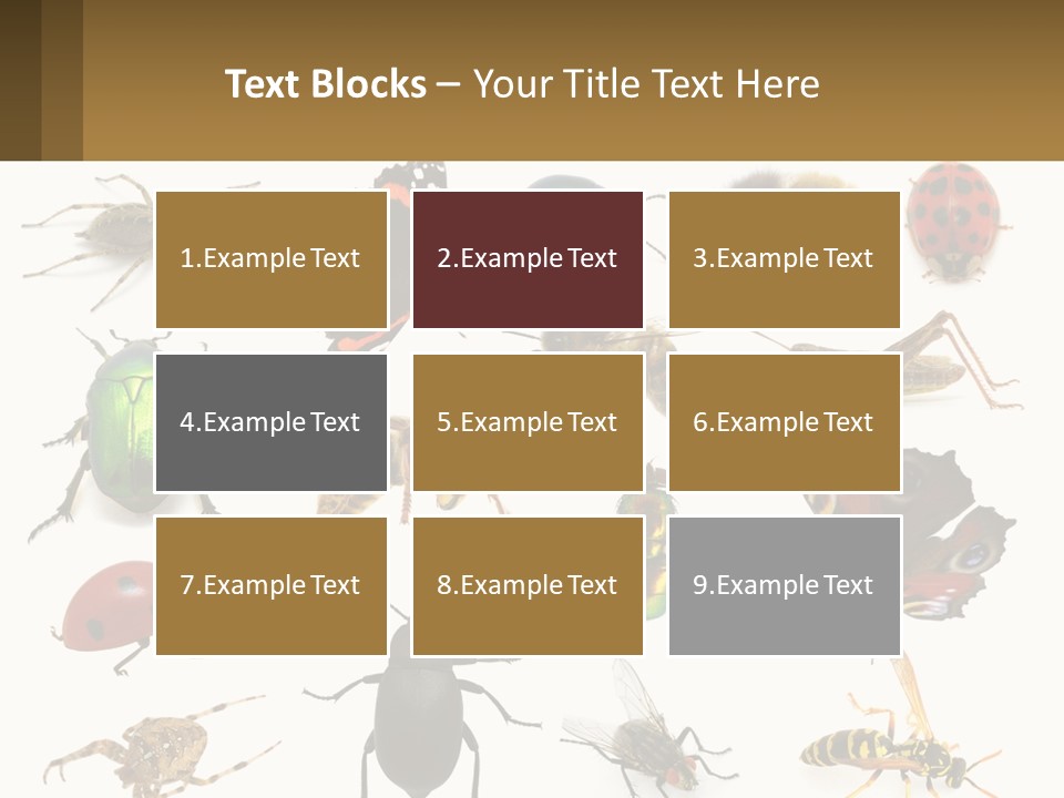A Group Of Bugs And Bees On A White Background PowerPoint Template