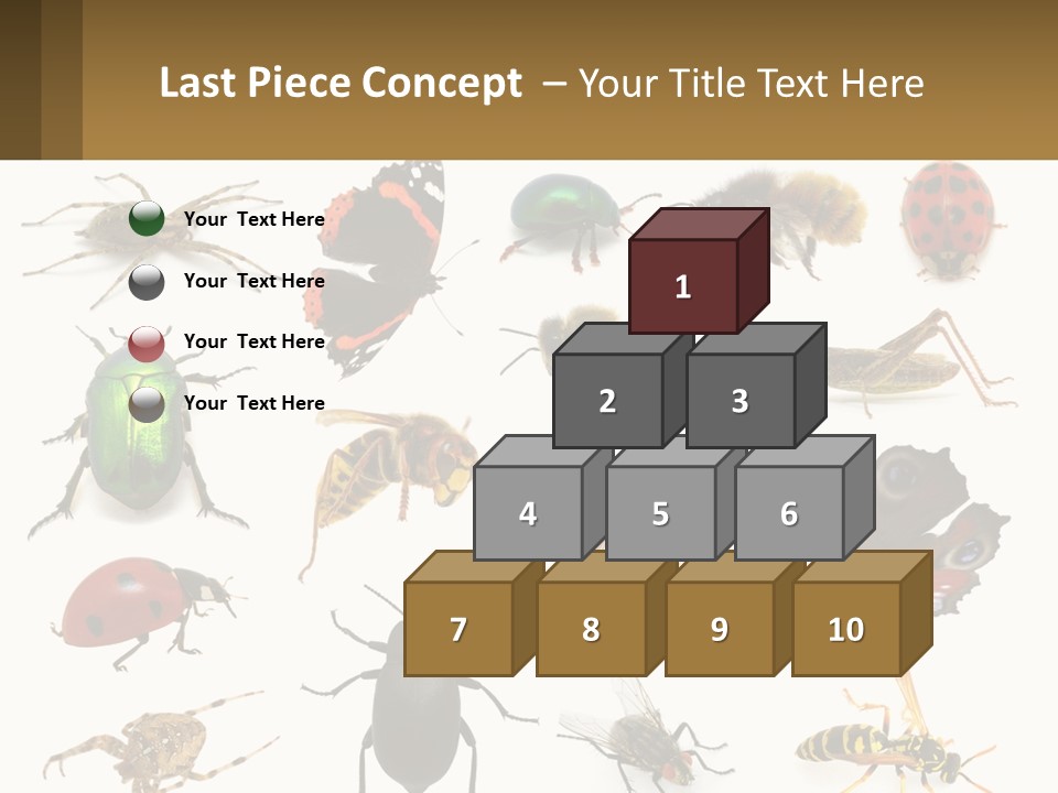 A Group Of Bugs And Bees On A White Background PowerPoint Template