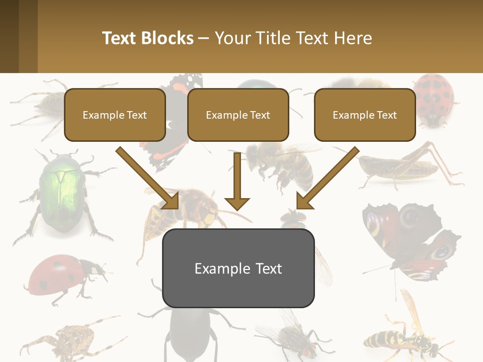 A Group Of Bugs And Bees On A White Background PowerPoint Template
