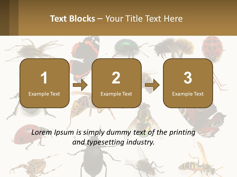 A Group Of Bugs And Bees On A White Background PowerPoint Template