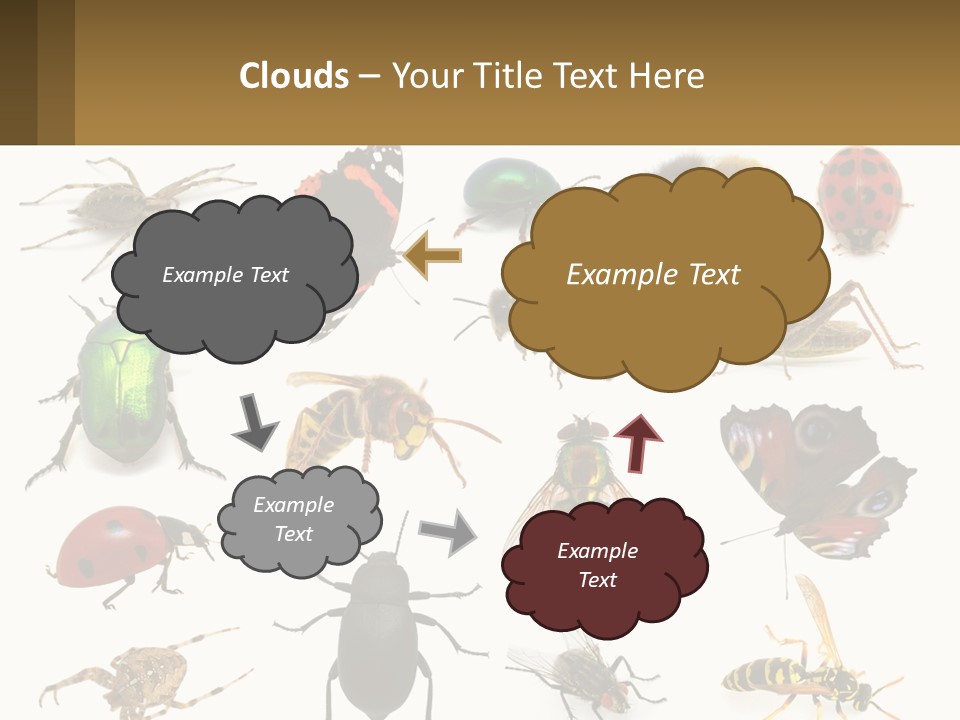 A Group Of Bugs And Bees On A White Background PowerPoint Template