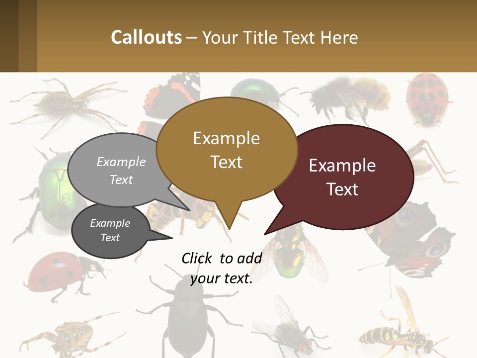 A Group Of Bugs And Bees On A White Background PowerPoint Template