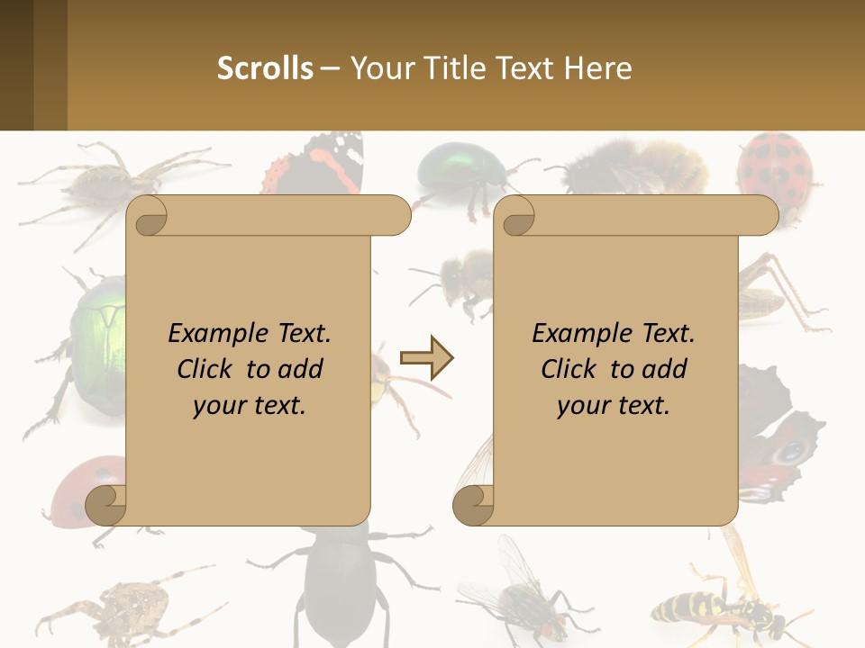 A Group Of Bugs And Bees On A White Background PowerPoint Template