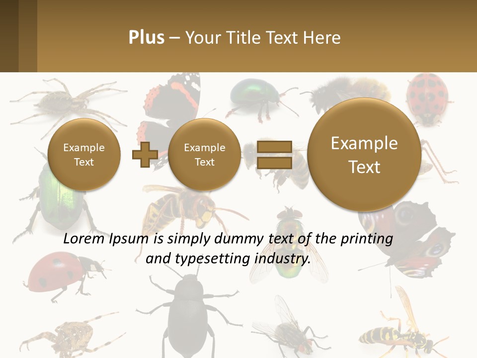 A Group Of Bugs And Bees On A White Background PowerPoint Template