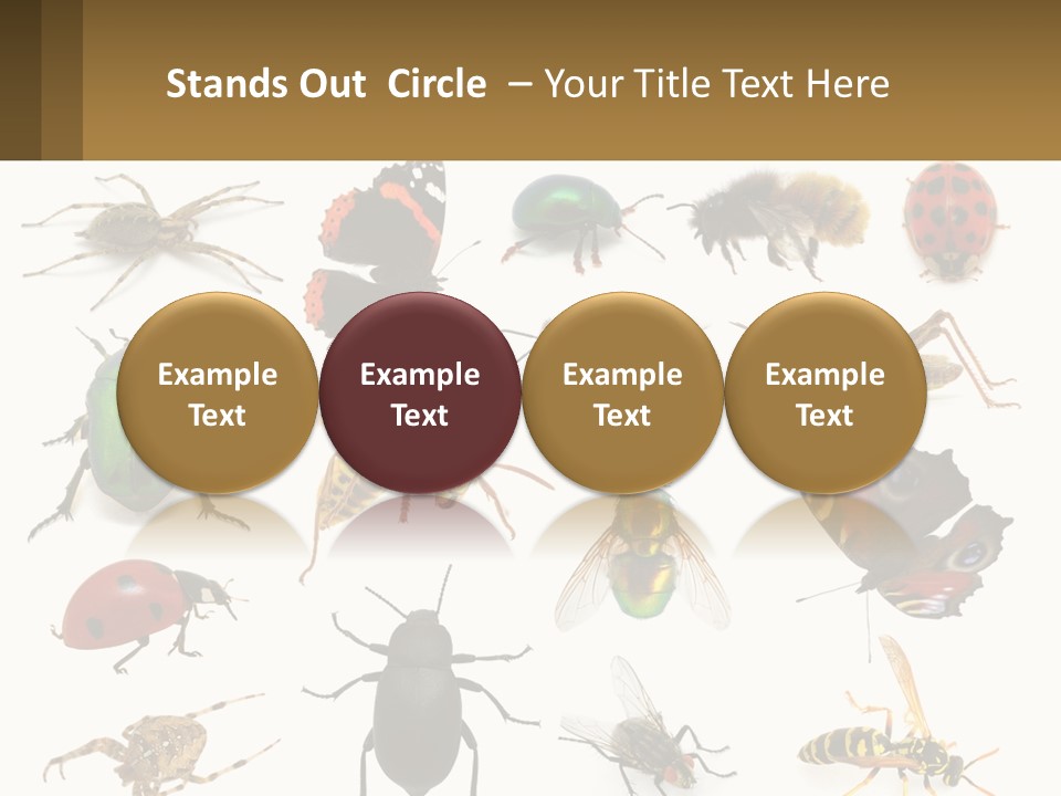 A Group Of Bugs And Bees On A White Background PowerPoint Template