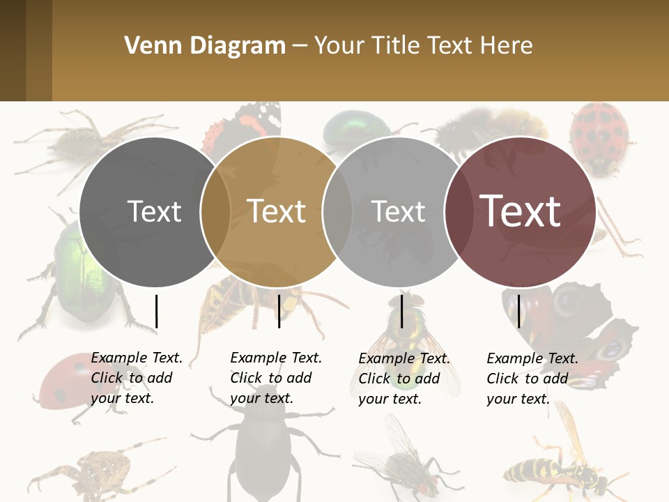 A Group Of Bugs And Bees On A White Background PowerPoint Template