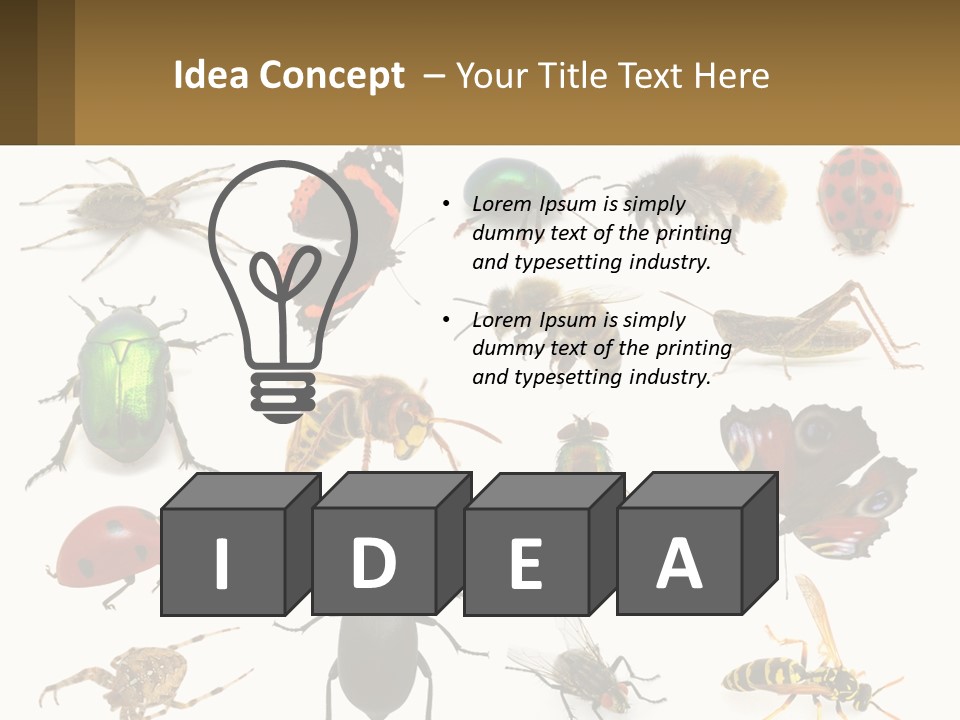 A Group Of Bugs And Bees On A White Background PowerPoint Template