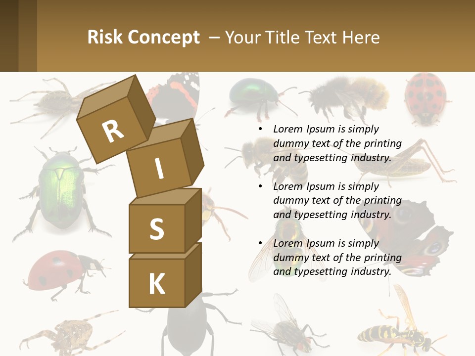 A Group Of Bugs And Bees On A White Background PowerPoint Template