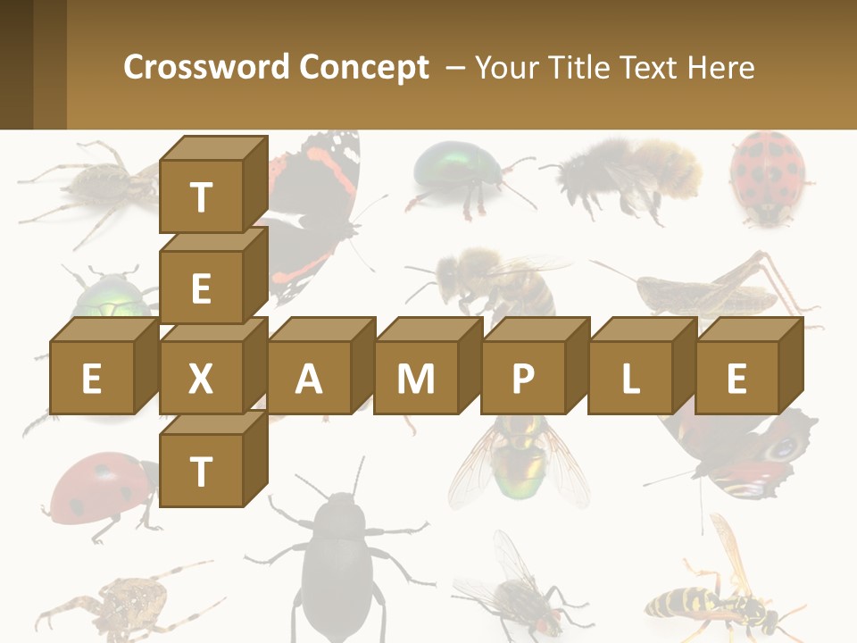 A Group Of Bugs And Bees On A White Background PowerPoint Template