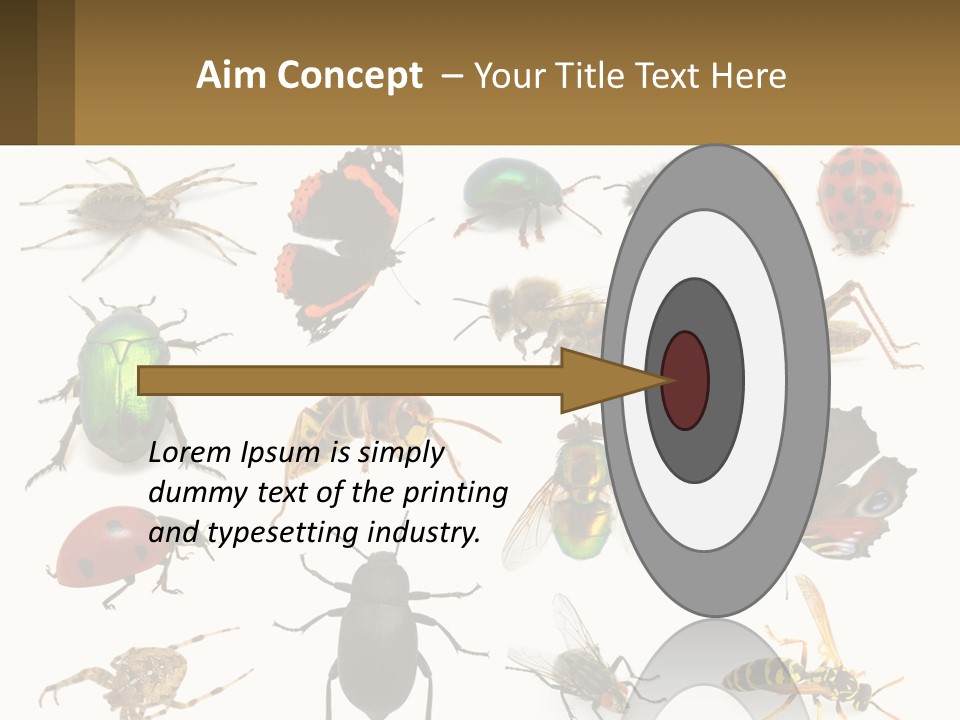 A Group Of Bugs And Bees On A White Background PowerPoint Template