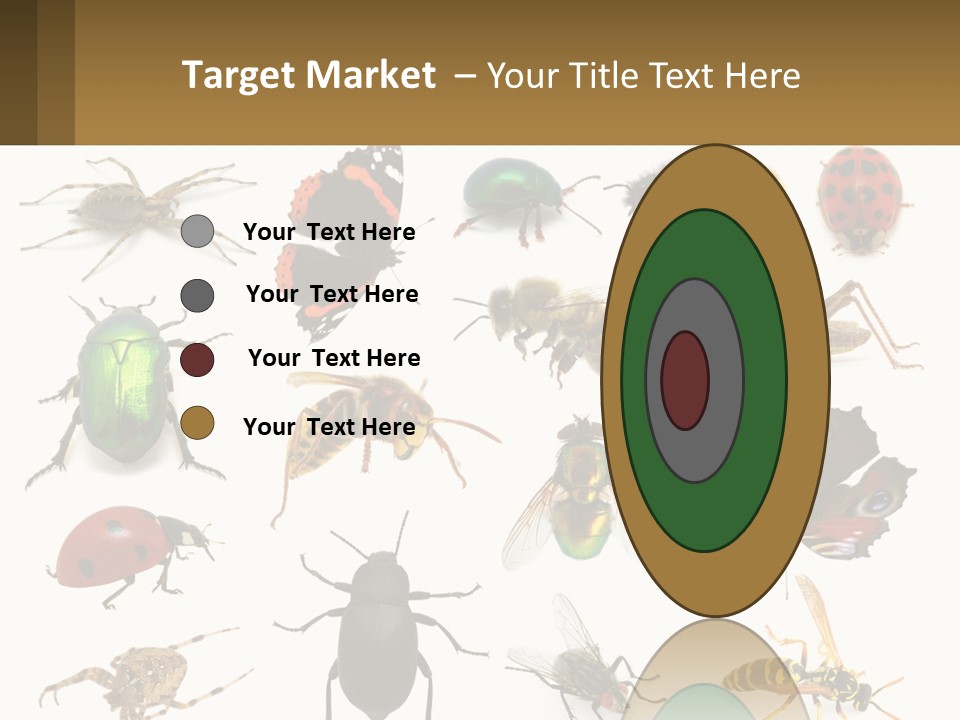 A Group Of Bugs And Bees On A White Background PowerPoint Template