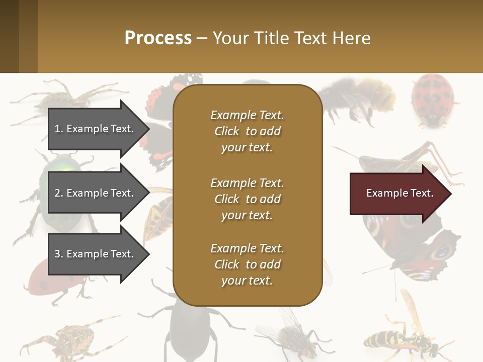 A Group Of Bugs And Bees On A White Background PowerPoint Template