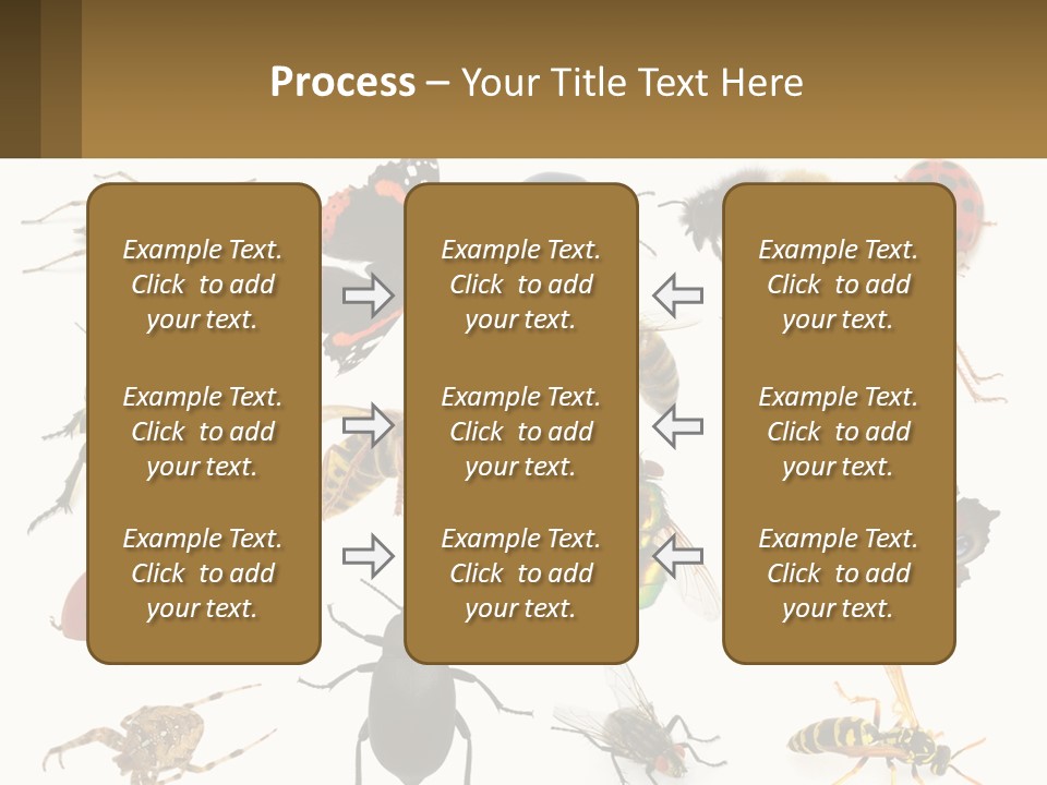 A Group Of Bugs And Bees On A White Background PowerPoint Template