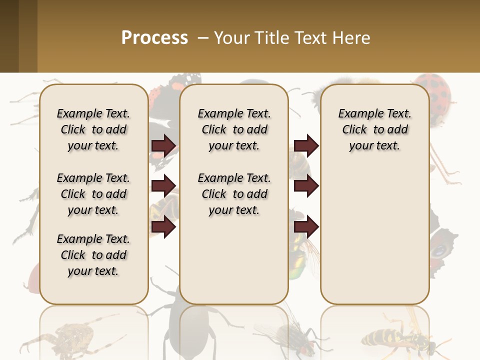 A Group Of Bugs And Bees On A White Background PowerPoint Template
