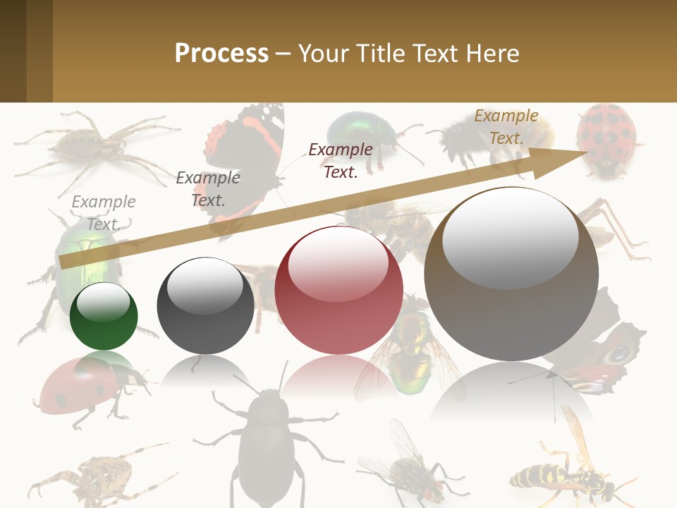 A Group Of Bugs And Bees On A White Background PowerPoint Template