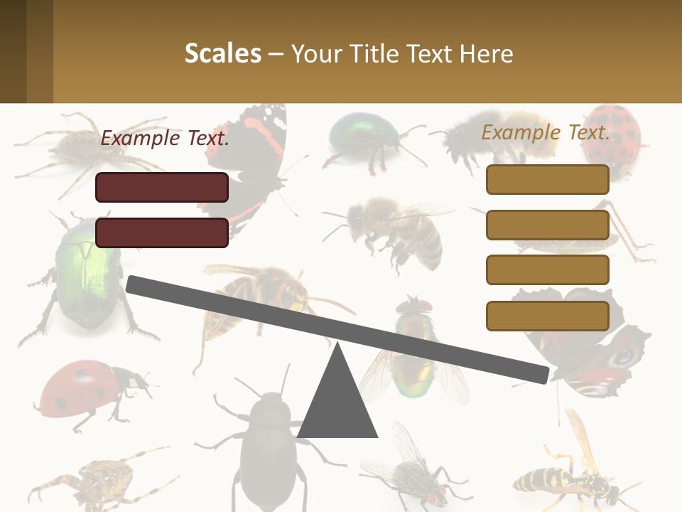 A Group Of Bugs And Bees On A White Background PowerPoint Template
