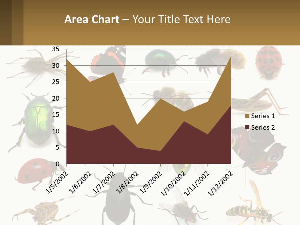 A Group Of Bugs And Bees On A White Background PowerPoint Template