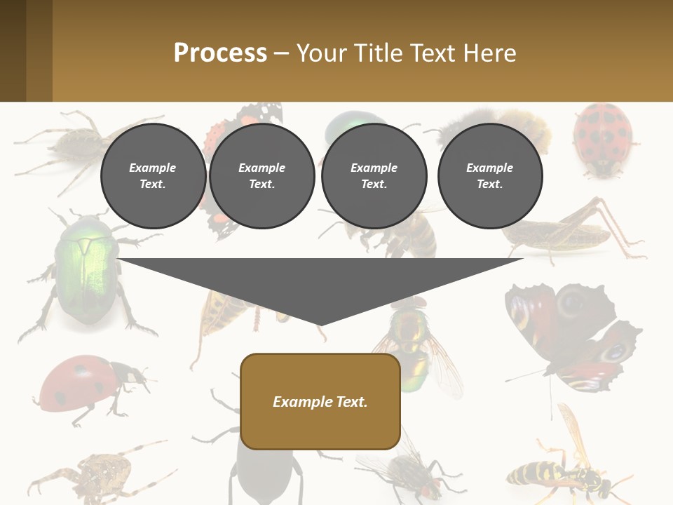 A Group Of Bugs And Bees On A White Background PowerPoint Template