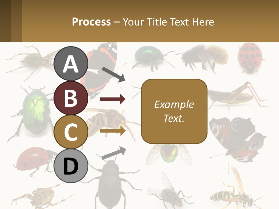 A Group Of Bugs And Bees On A White Background PowerPoint Template