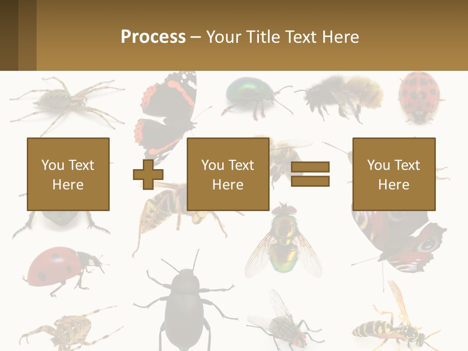 A Group Of Bugs And Bees On A White Background PowerPoint Template
