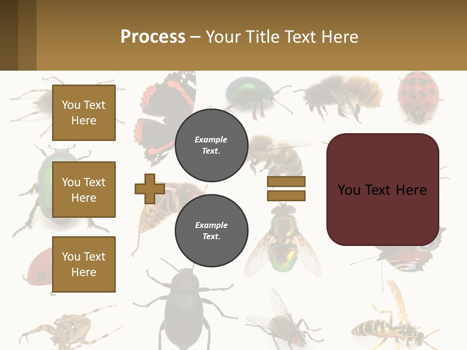 A Group Of Bugs And Bees On A White Background PowerPoint Template