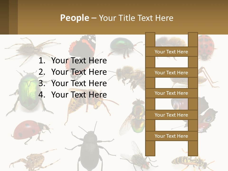 A Group Of Bugs And Bees On A White Background PowerPoint Template