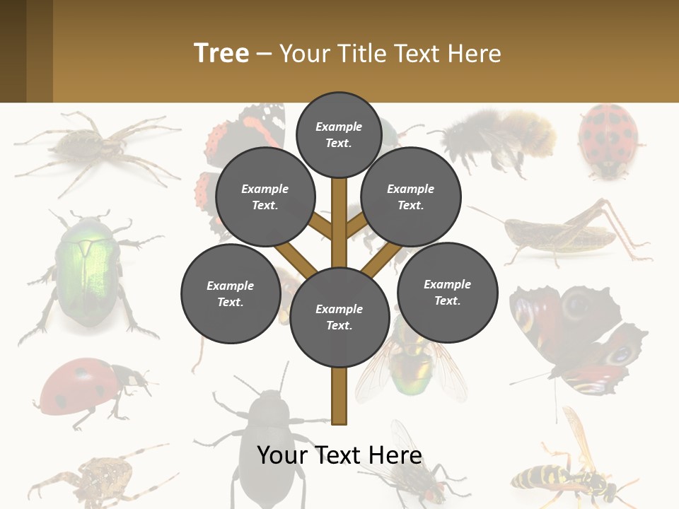 A Group Of Bugs And Bees On A White Background PowerPoint Template