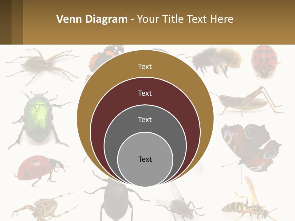 A Group Of Bugs And Bees On A White Background PowerPoint Template
