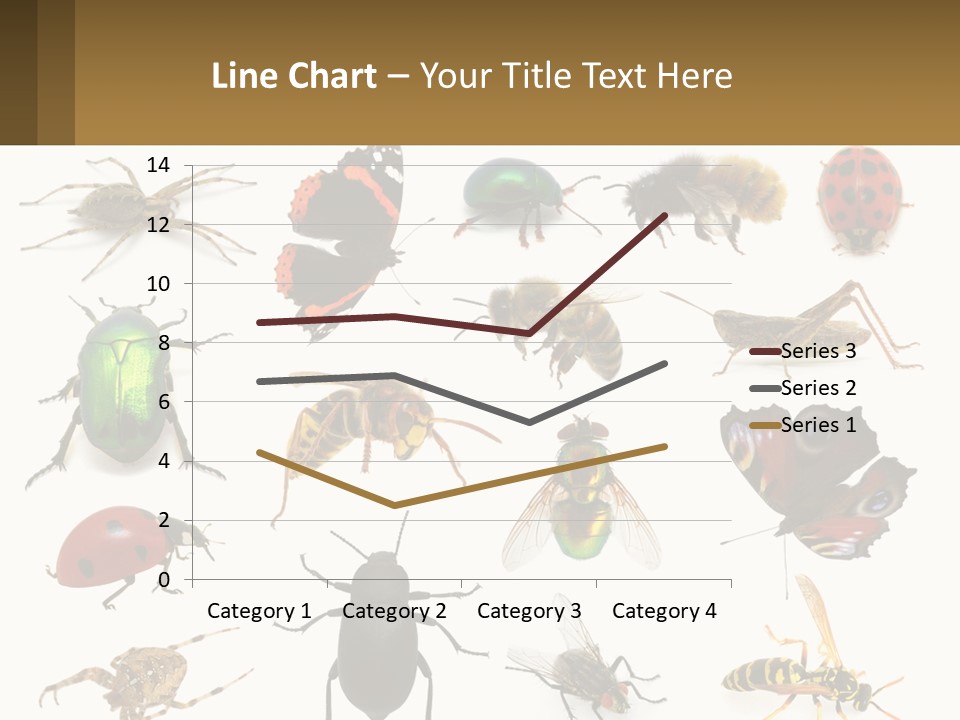 A Group Of Bugs And Bees On A White Background PowerPoint Template