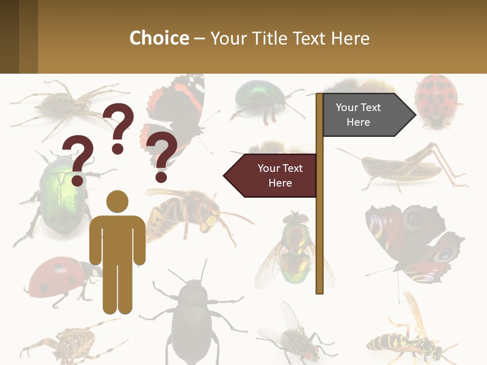 A Group Of Bugs And Bees On A White Background PowerPoint Template