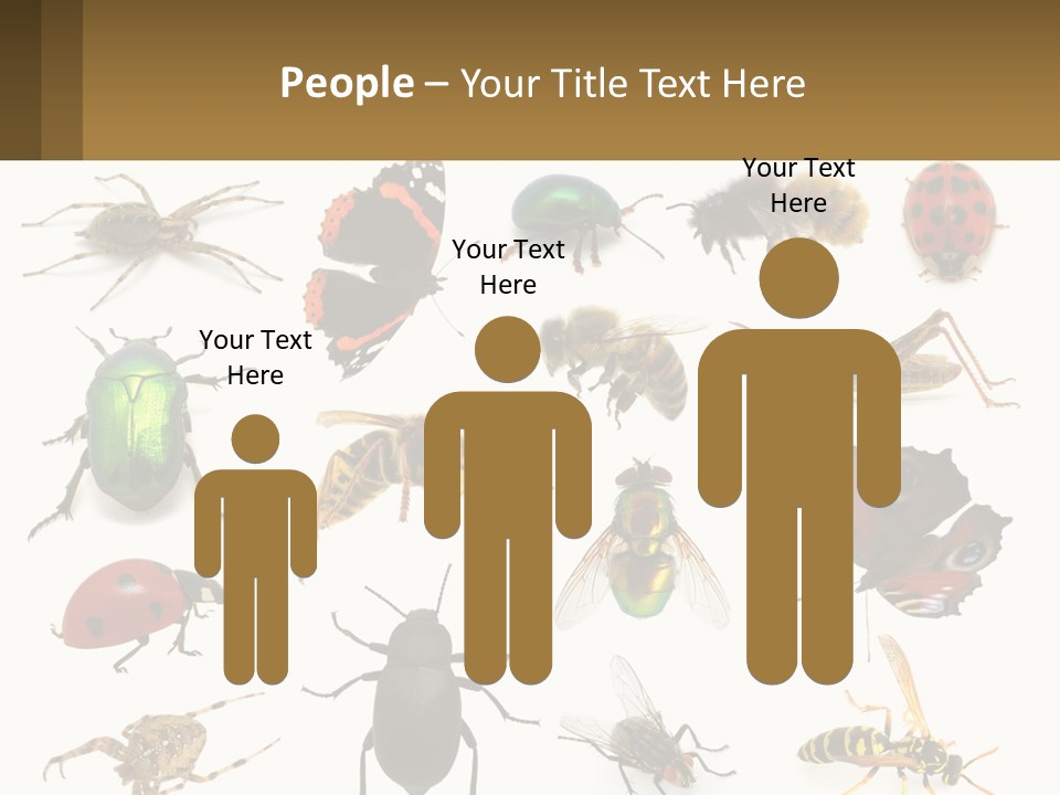 A Group Of Bugs And Bees On A White Background PowerPoint Template