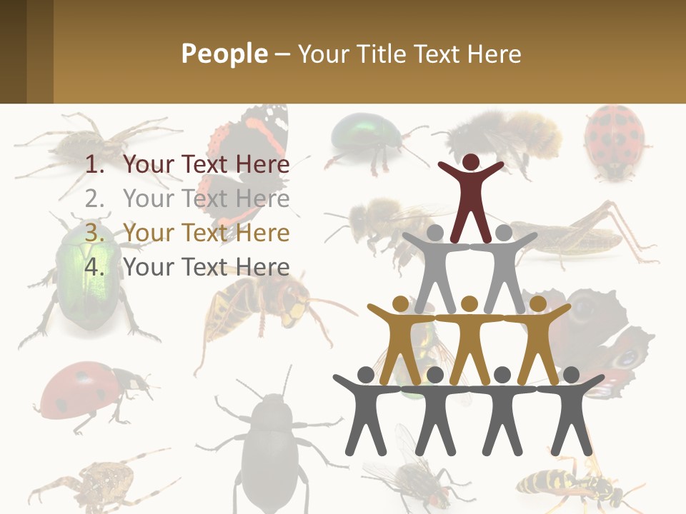 A Group Of Bugs And Bees On A White Background PowerPoint Template