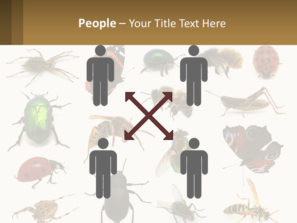 A Group Of Bugs And Bees On A White Background PowerPoint Template