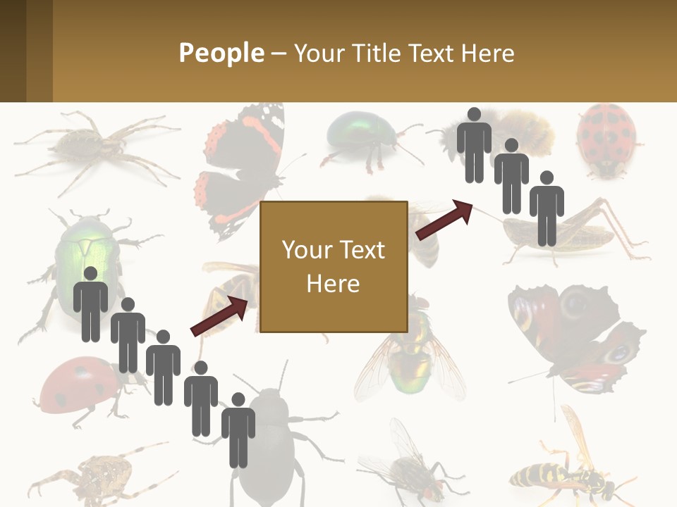 A Group Of Bugs And Bees On A White Background PowerPoint Template