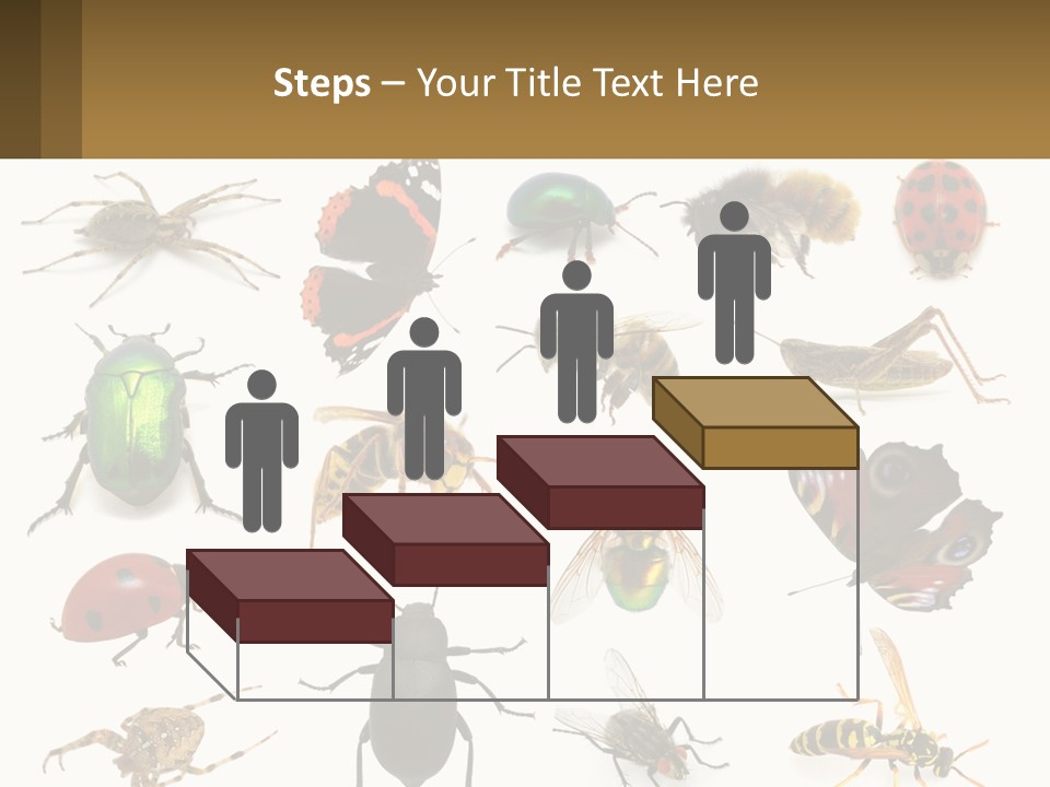 A Group Of Bugs And Bees On A White Background PowerPoint Template