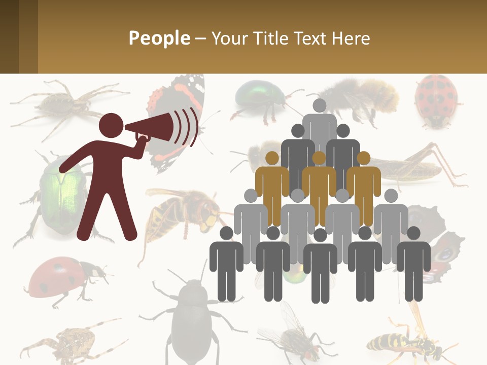 A Group Of Bugs And Bees On A White Background PowerPoint Template