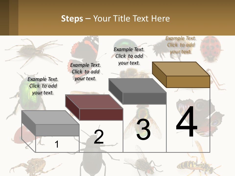 A Group Of Bugs And Bees On A White Background PowerPoint Template