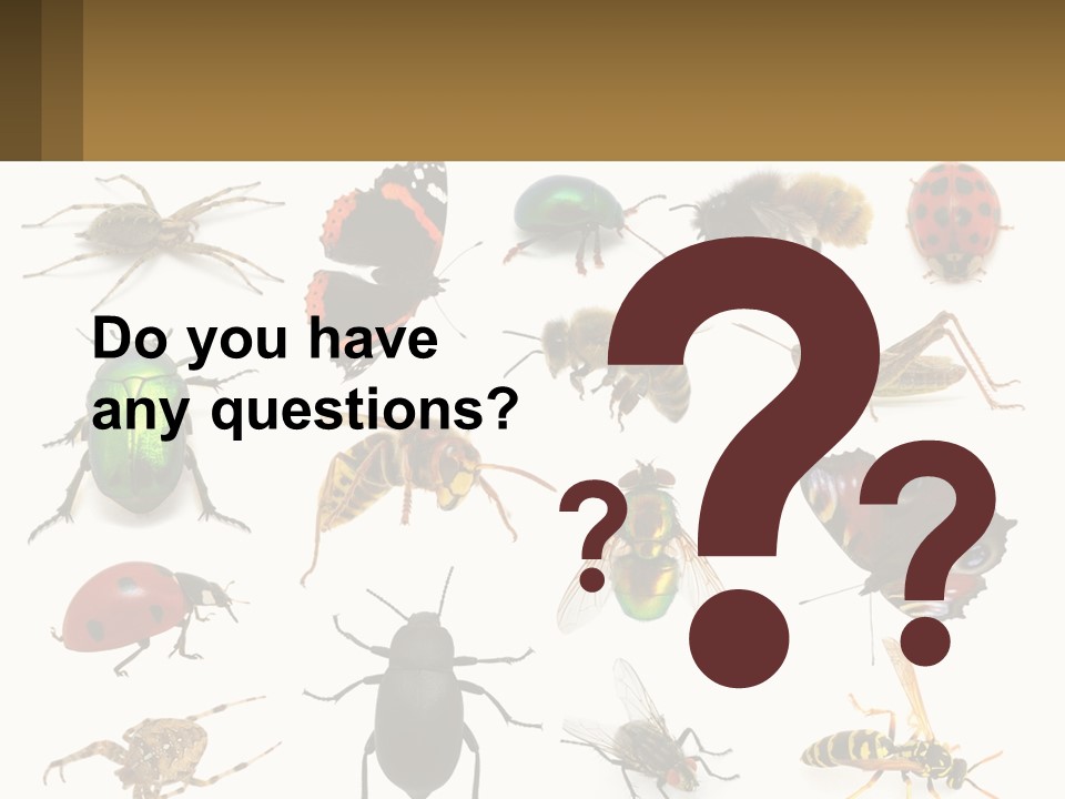 A Group Of Bugs And Bees On A White Background PowerPoint Template