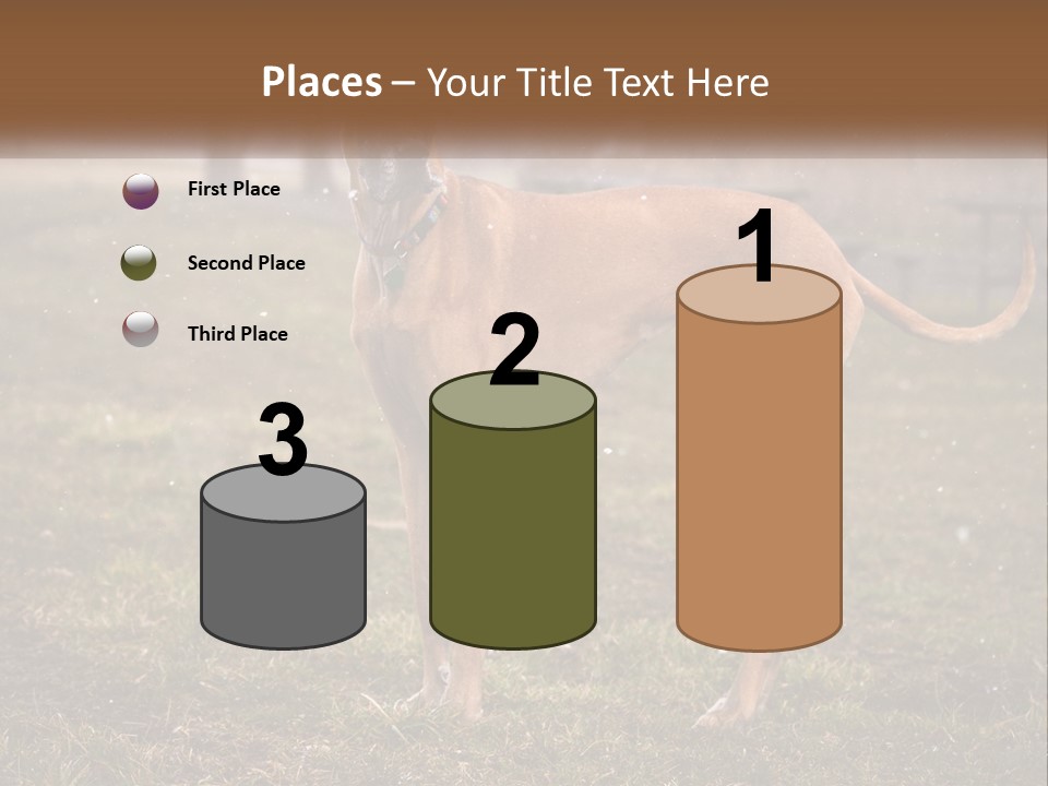 A Large Brown Dog Standing In The Grass PowerPoint Template