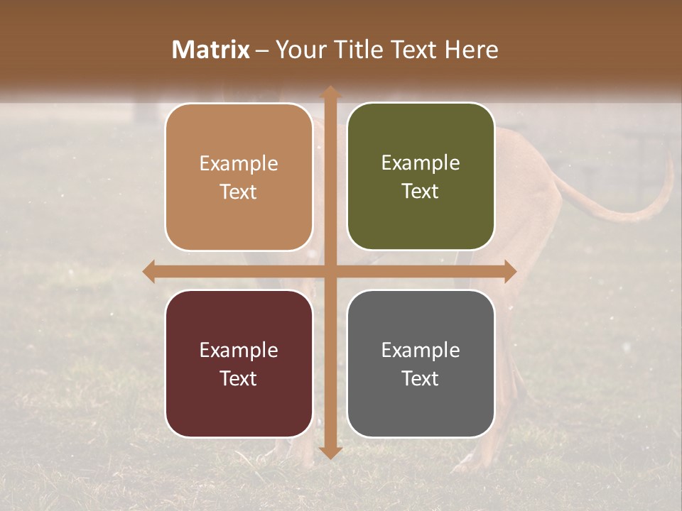 A Large Brown Dog Standing In The Grass PowerPoint Template