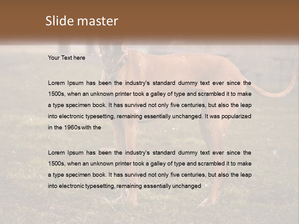 A Large Brown Dog Standing In The Grass PowerPoint Template