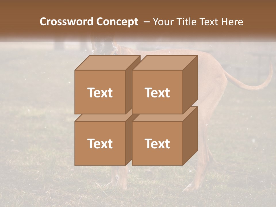 A Large Brown Dog Standing In The Grass PowerPoint Template