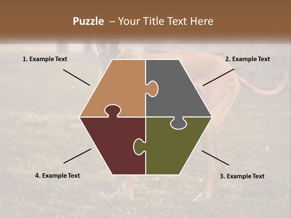 A Large Brown Dog Standing In The Grass PowerPoint Template