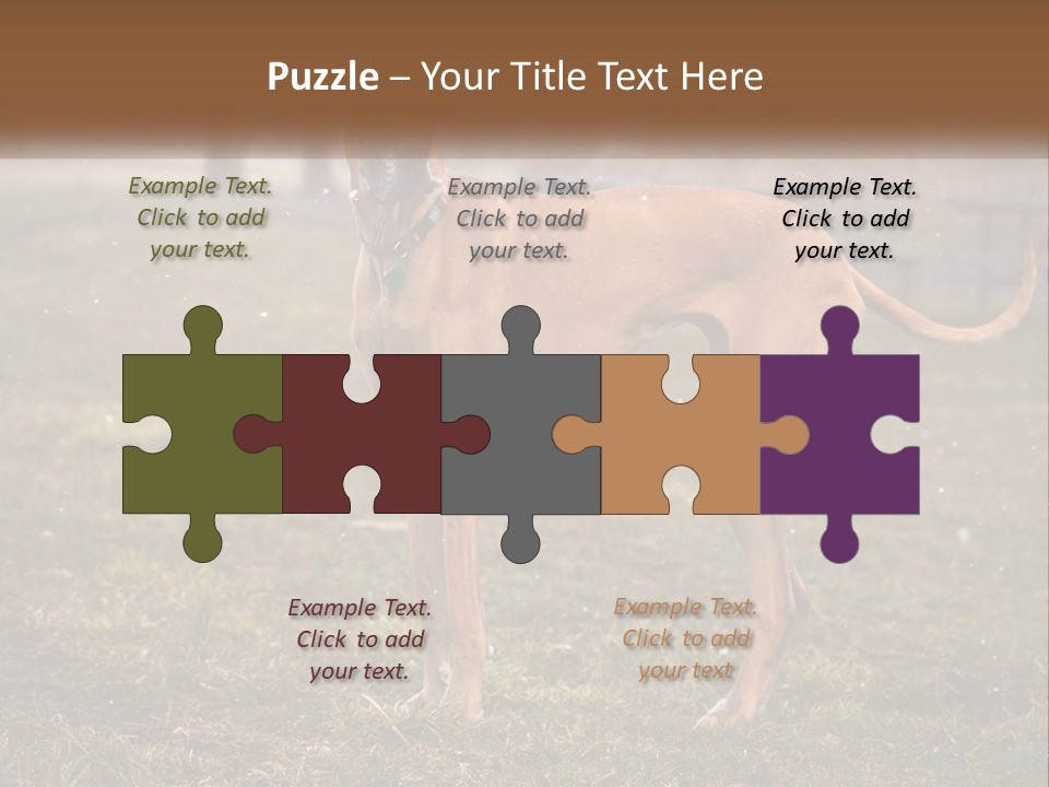 A Large Brown Dog Standing In The Grass PowerPoint Template