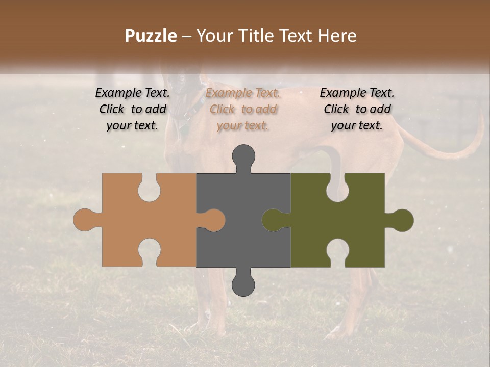 A Large Brown Dog Standing In The Grass PowerPoint Template
