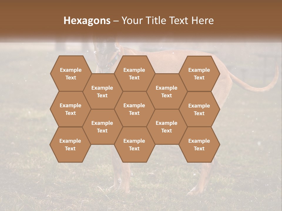 A Large Brown Dog Standing In The Grass PowerPoint Template