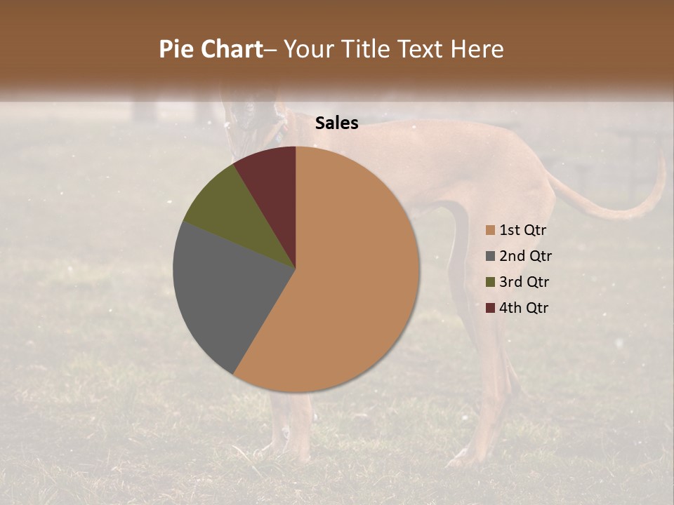 A Large Brown Dog Standing In The Grass PowerPoint Template