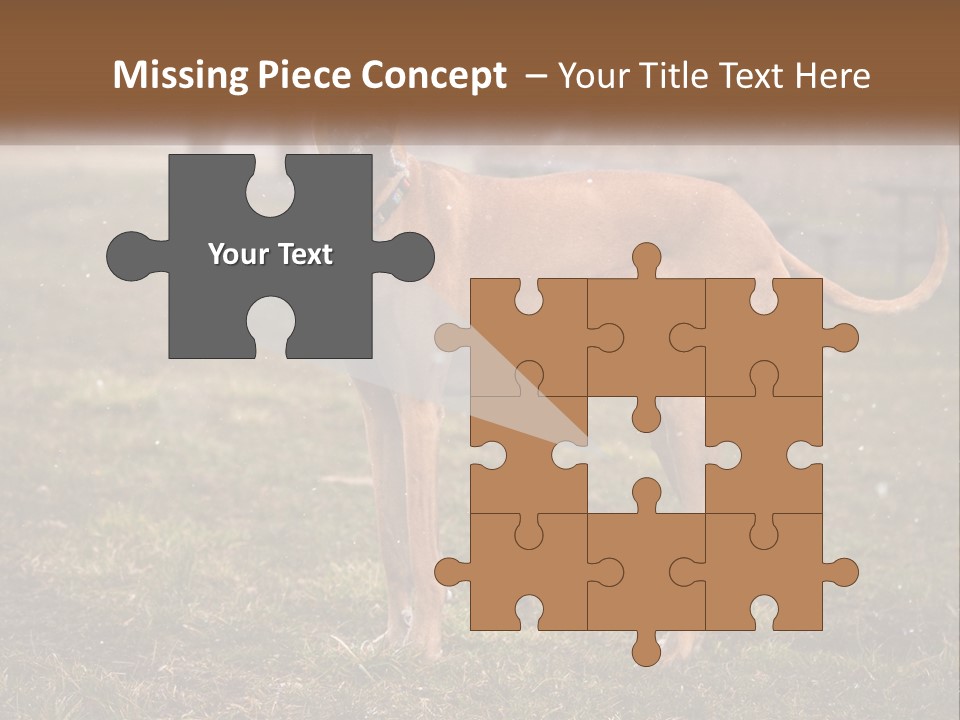 A Large Brown Dog Standing In The Grass PowerPoint Template